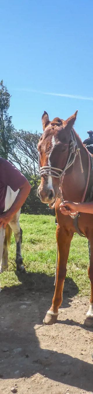 Landwirte in den Hügeln von Costa Rica